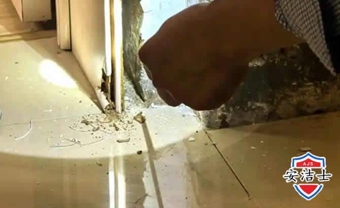 秀英区房屋建筑防治白蚁