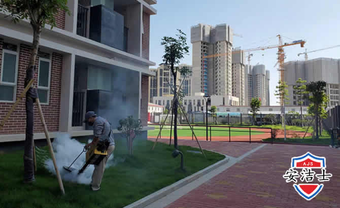 秀英区工厂工地除白蚁