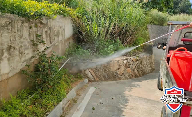 秀英区道路堤坝白蚁防治