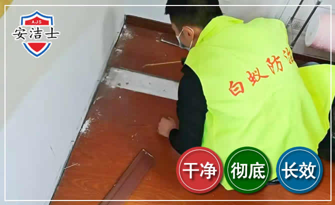 秀英区除四害现场