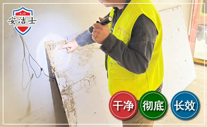 秀英区除白蚁现场