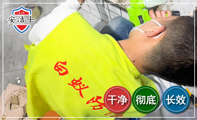 秀英区白蚁根治现场